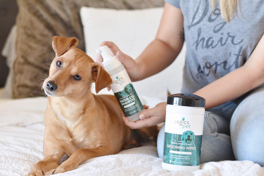 Zogics Pet waterless dog shampoo