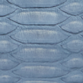 Cornflower Blue Python