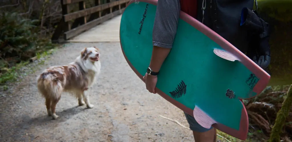 man post surfing with dog
