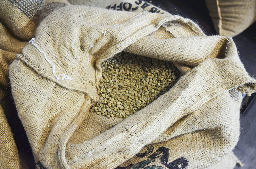 Burlap bag filled with green coffee beans