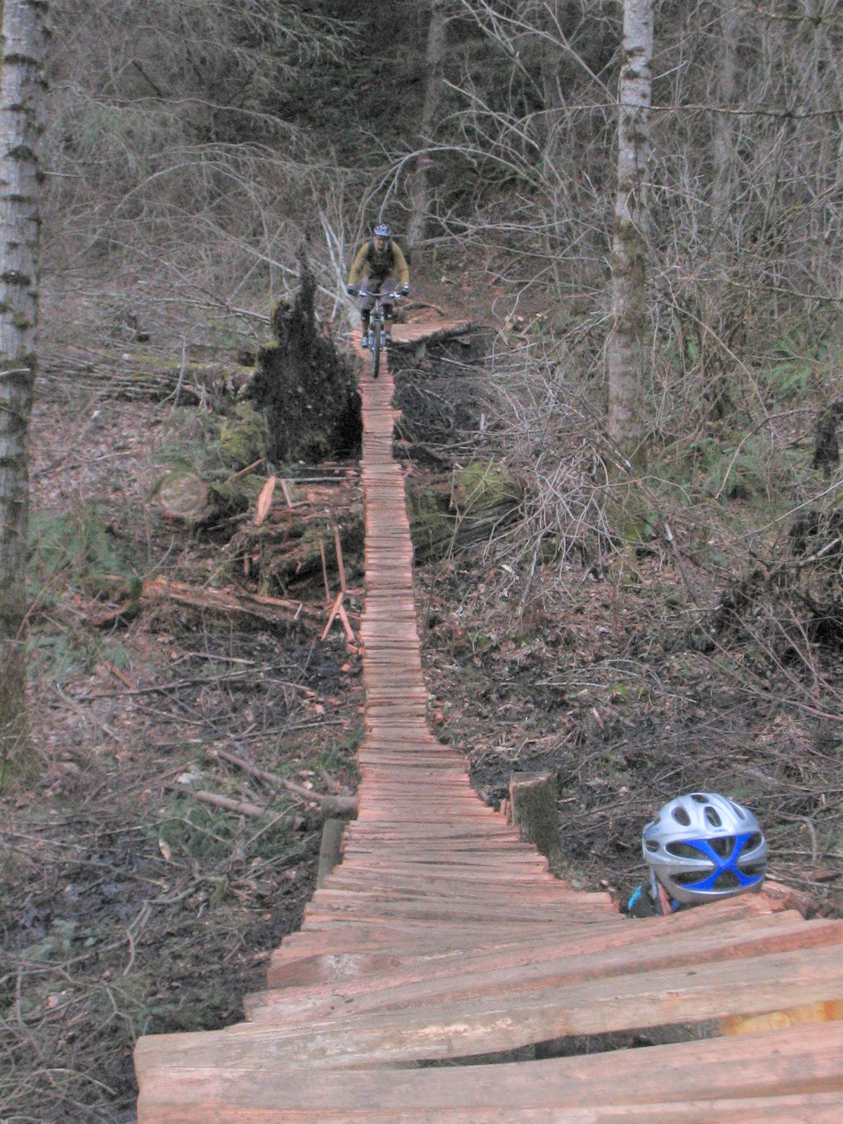 FlowTron swamp bridge - bogride aka bog log