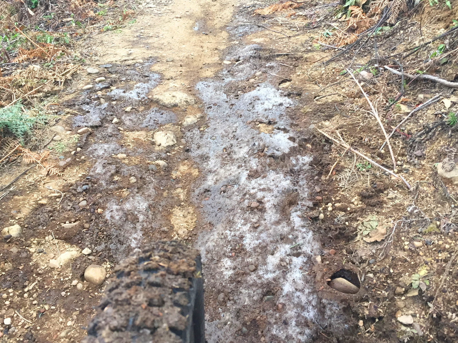 Frost heave on a section of doubletrack