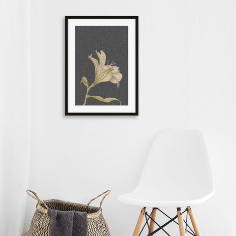 grey vintage botanical art print floral stem