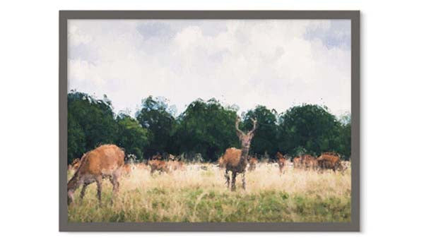 richmond park impressionist deer photography art print of stag