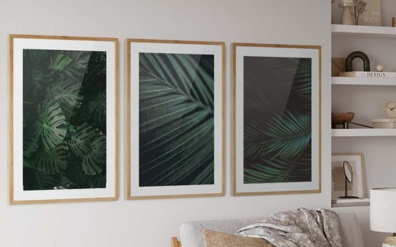 botanical art and nature framed prints