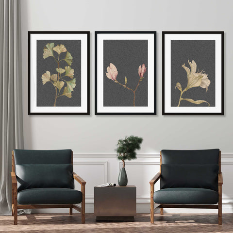 vintage botanical prints set to buy