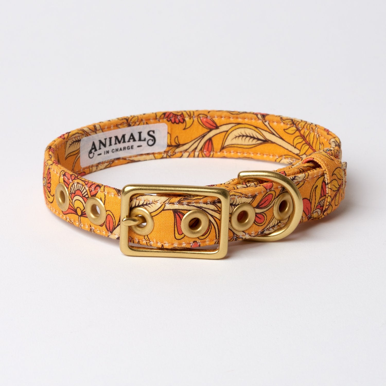 Bohemian Cafe Dog Collar