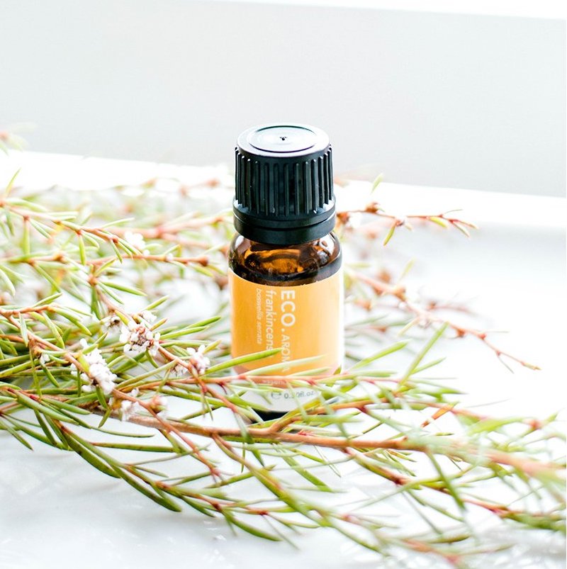 Frankincense Essential Oil 10ml