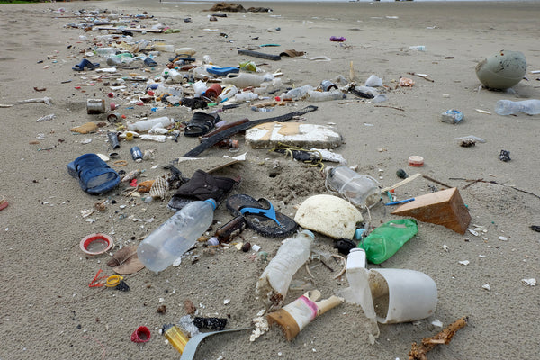 How Does Plastic Pollution Affect Marine Life and How Can We Reduce It ...
