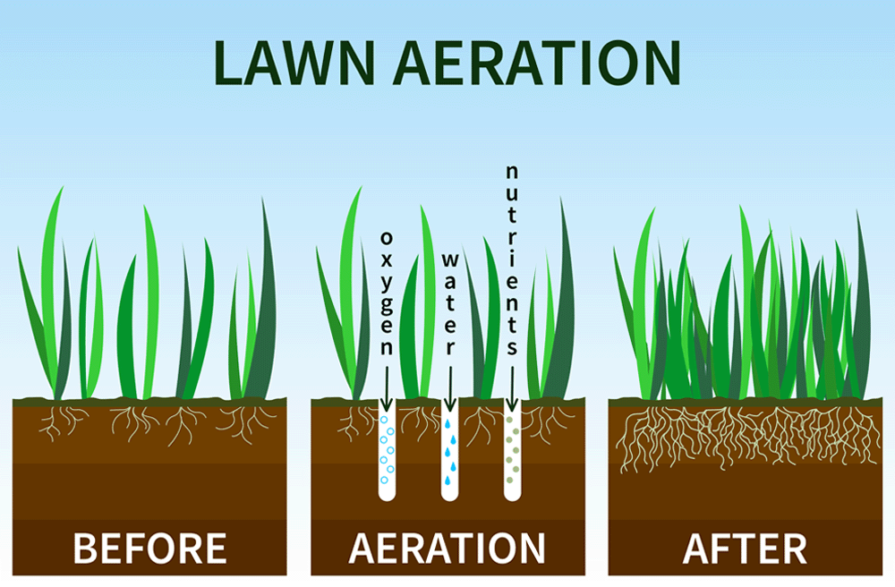 Lawn aeration