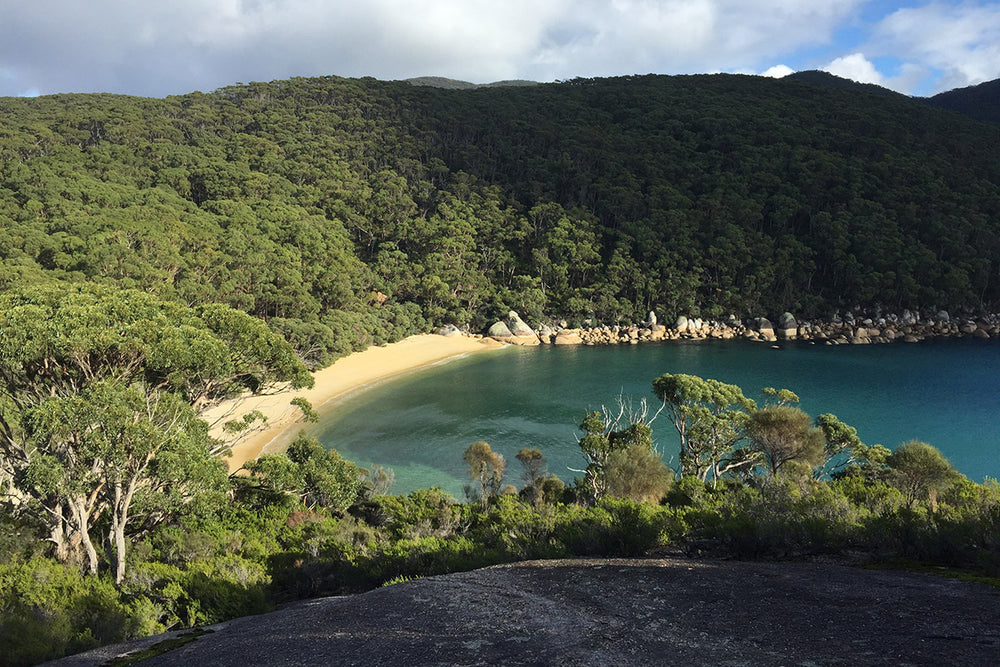 The 10 Best Day Hikes Near Melbourne | Adventures in Victoria - Amble ...