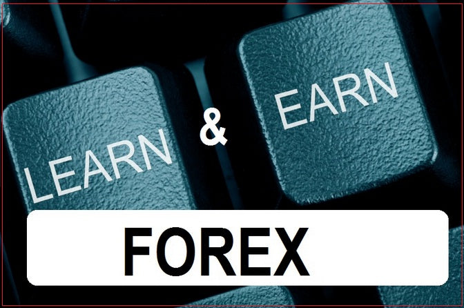 Forex Basics Course - 