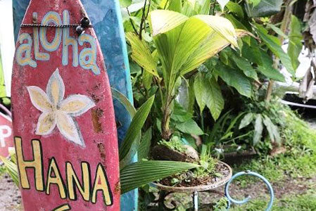 The Road to Hana – Maui