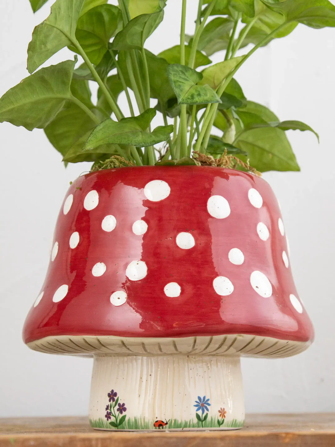 Ceramic Mushroom Planter