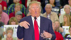 Donald Trump Mocks Reporter With a Disability