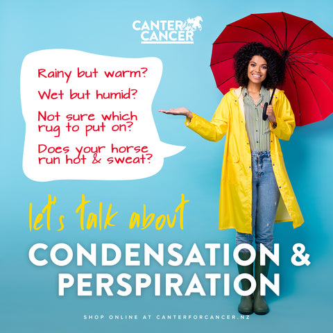 Let's talk about condensation and perspiration