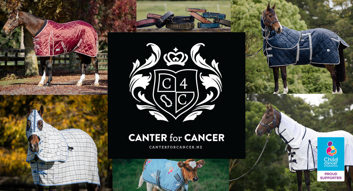 Canter for Cancer NZ