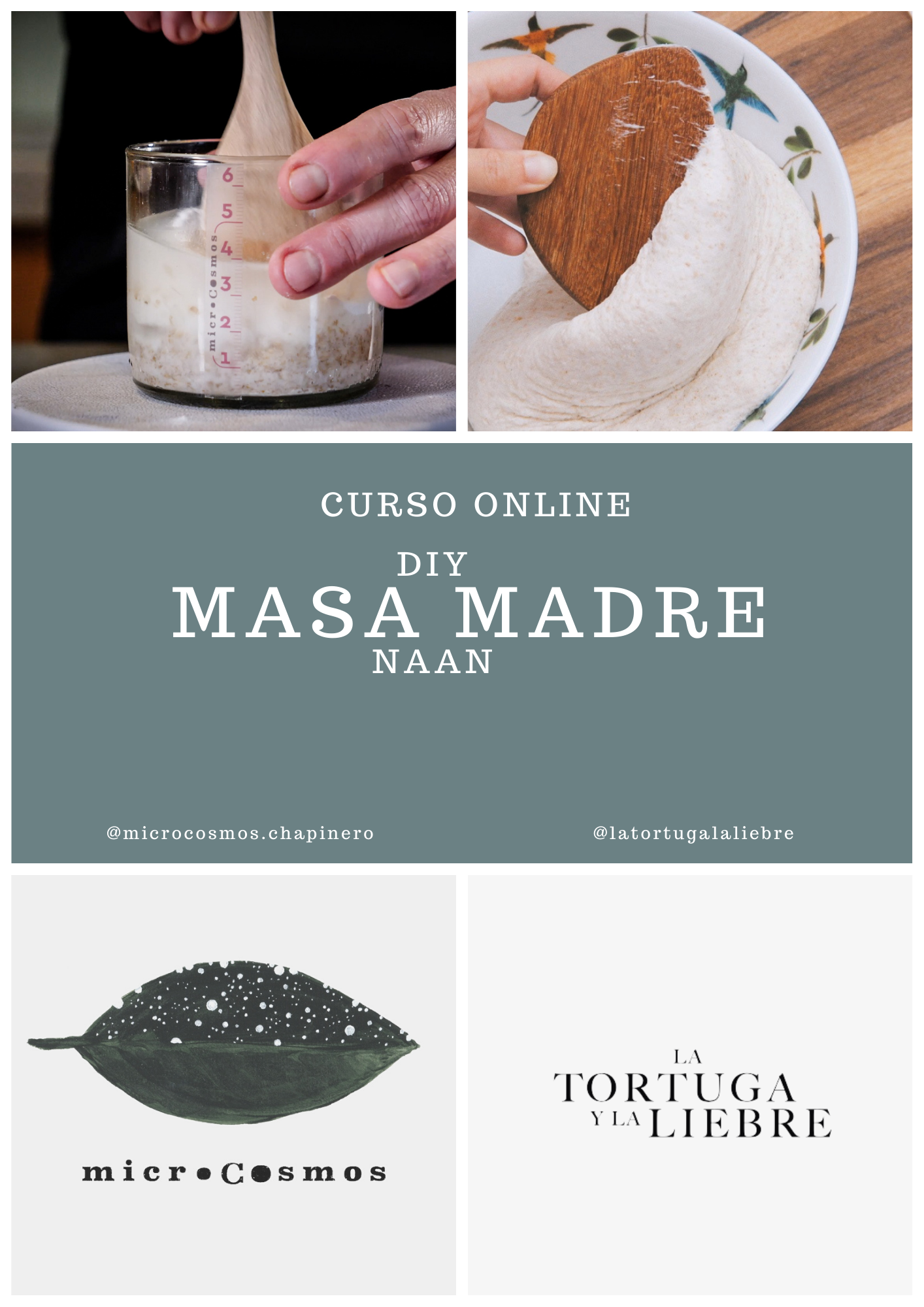 Aprende a hacer masa madre y naan: segundo curso de fermentación – La  Tortuga y La Liebre