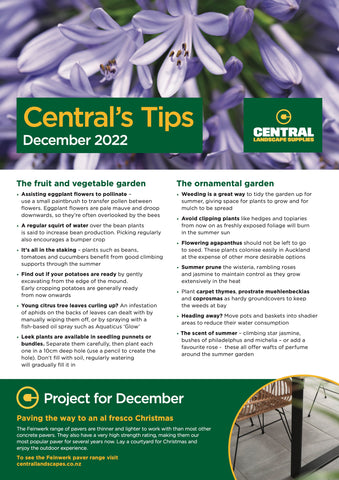 December garden tips from Central Landscapes