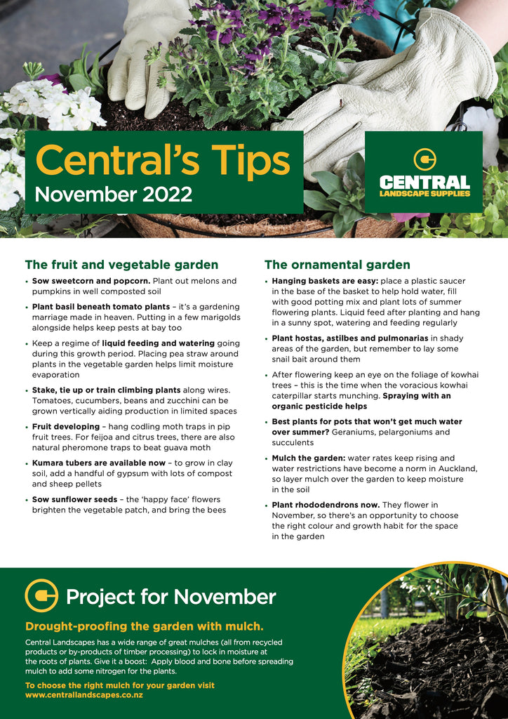 Garden tips for November