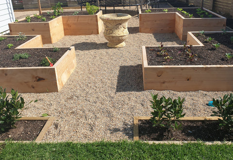 planted vegetable beds