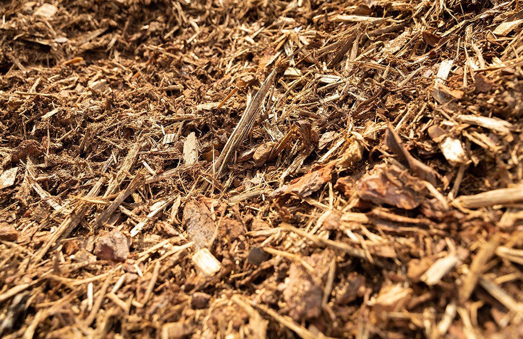 Aged Arborist Mulch – centrallandscapes