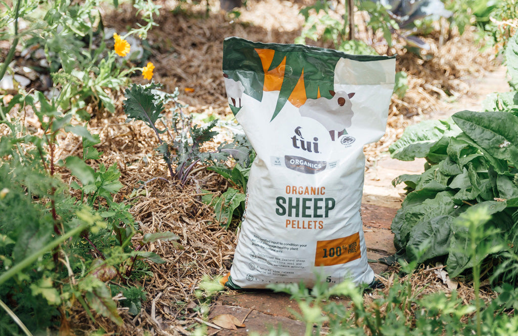 Sheep Pellets centrallandscapes