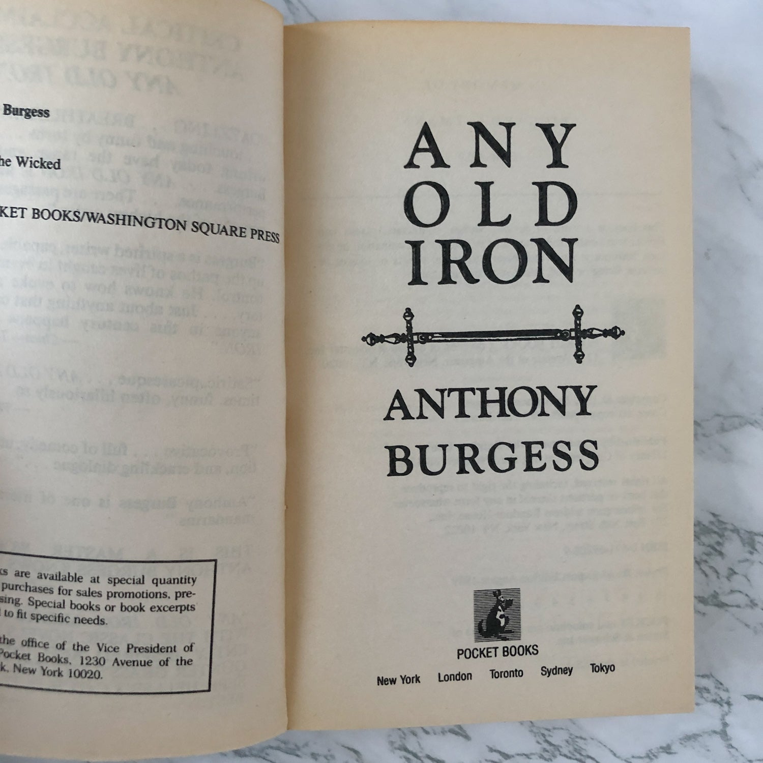 Any Old Iron by Lynda Page