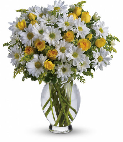 Daisy bouquet