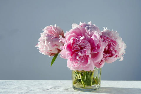 Peonies