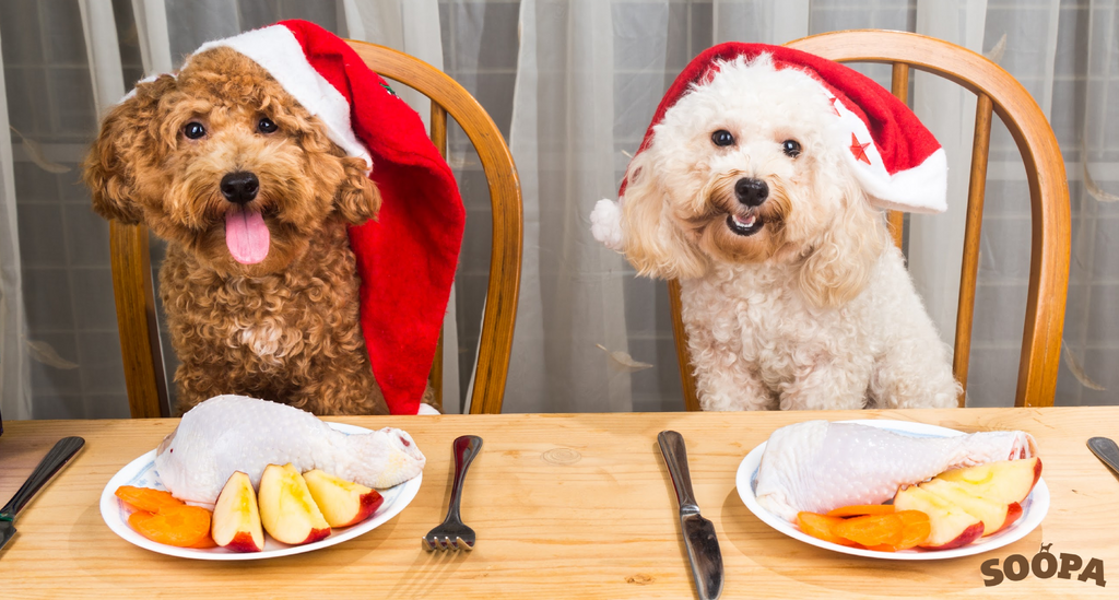 dog-safe-christmas-dinner-soopa-pets