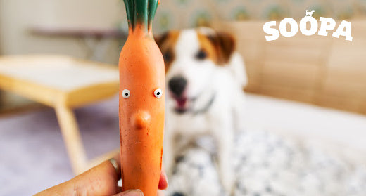 can carrots cause loose stools in dogs