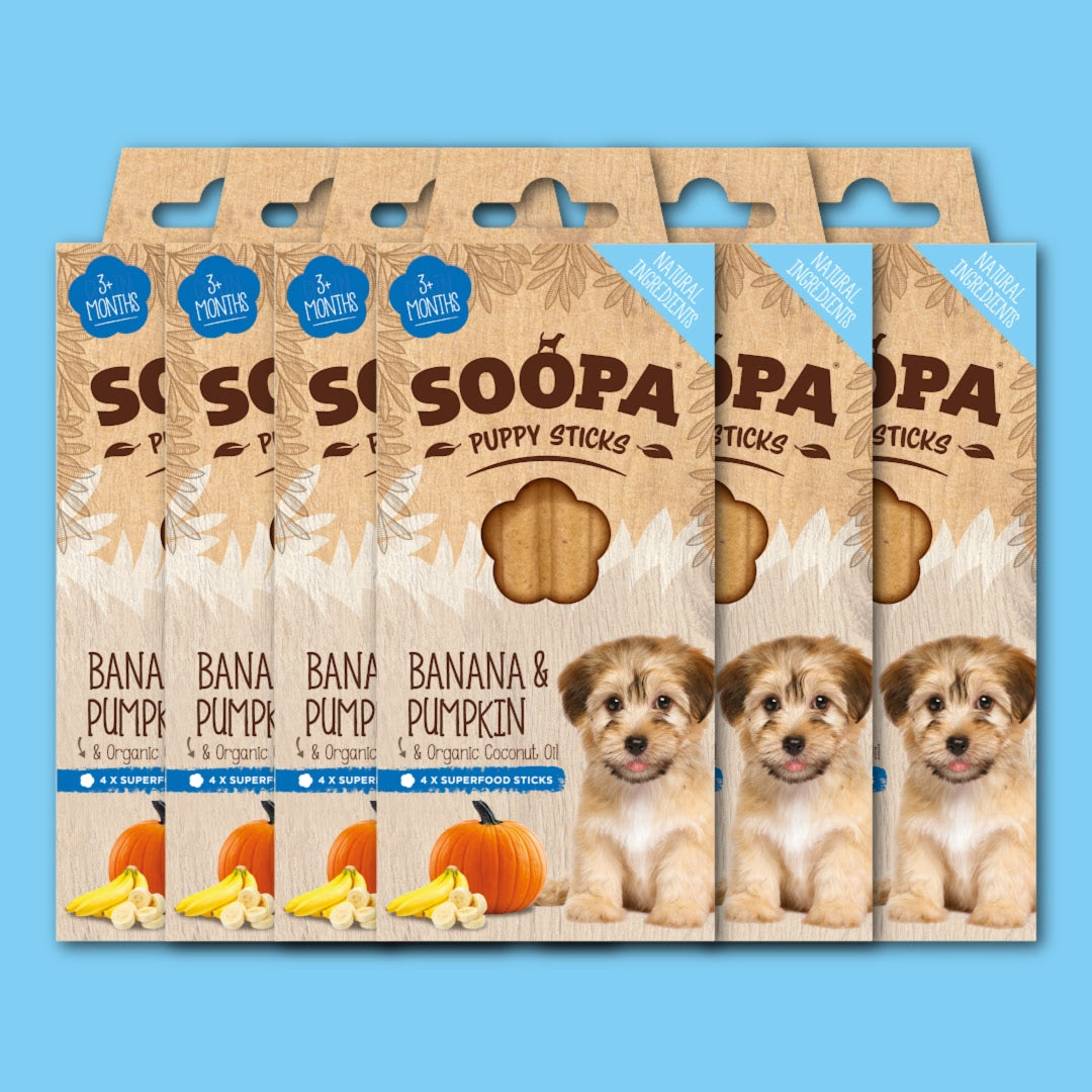 Image of Banana & Pumpkin Dental Sticks for Puppies, 6 Pack