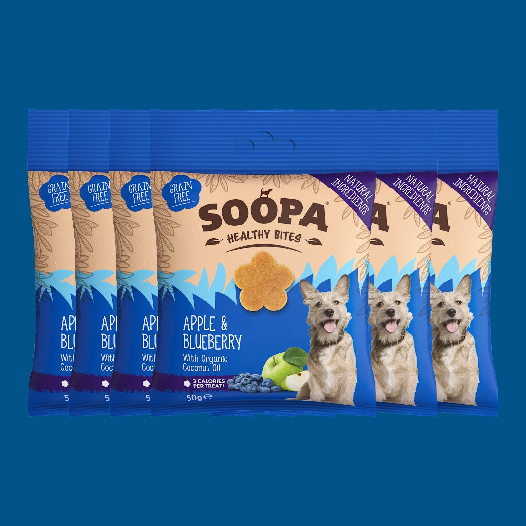 Image of Apple & Blueberry Healthy Bites, 6 Pack