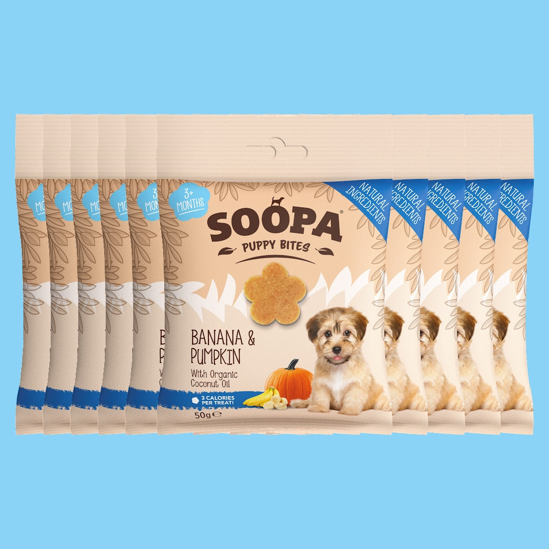 Image of Banana & Pumpkin Healthy Training Bites for Puppies, 10 Pack