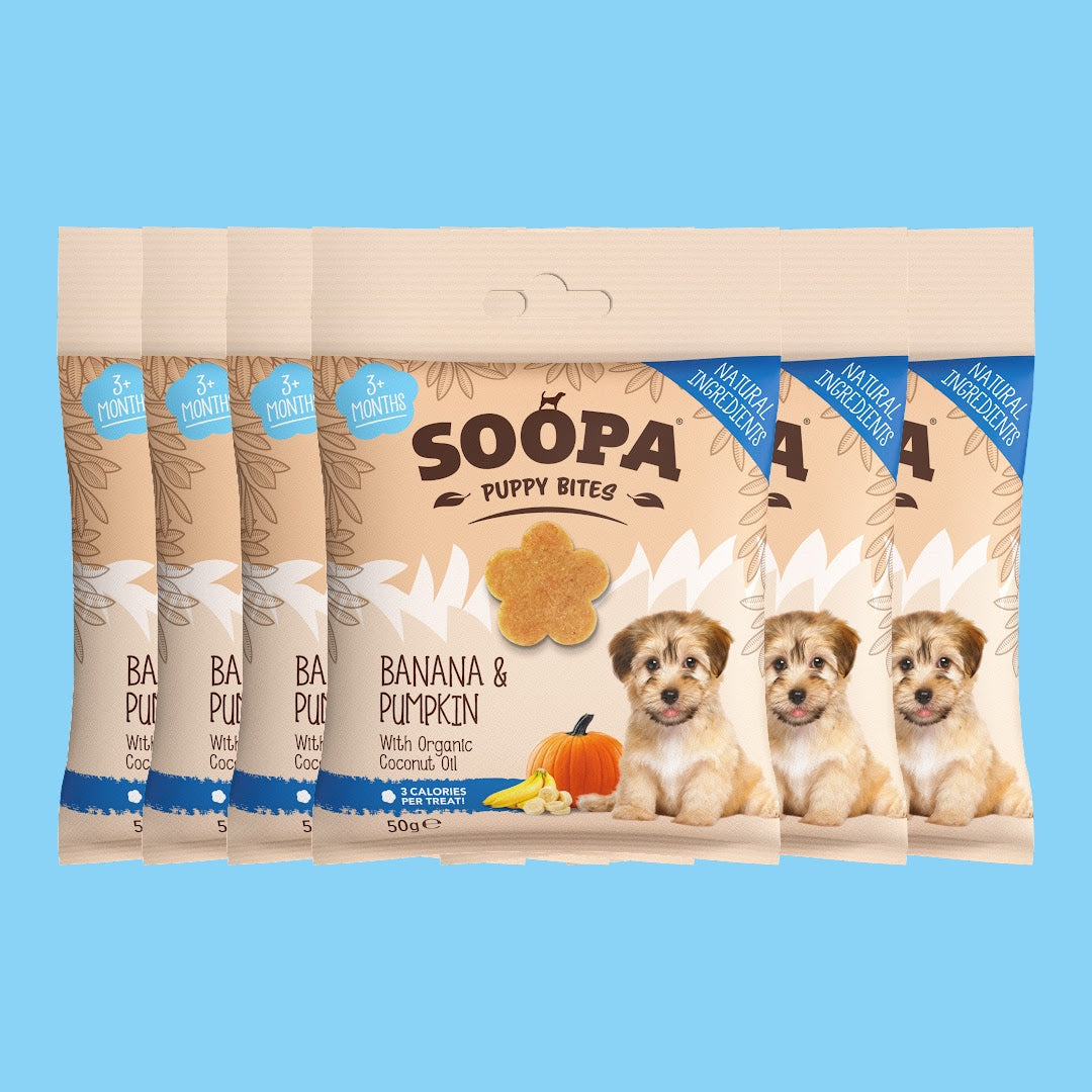 Image of Banana & Pumpkin Healthy Training Bites for Puppies, 6 Pack