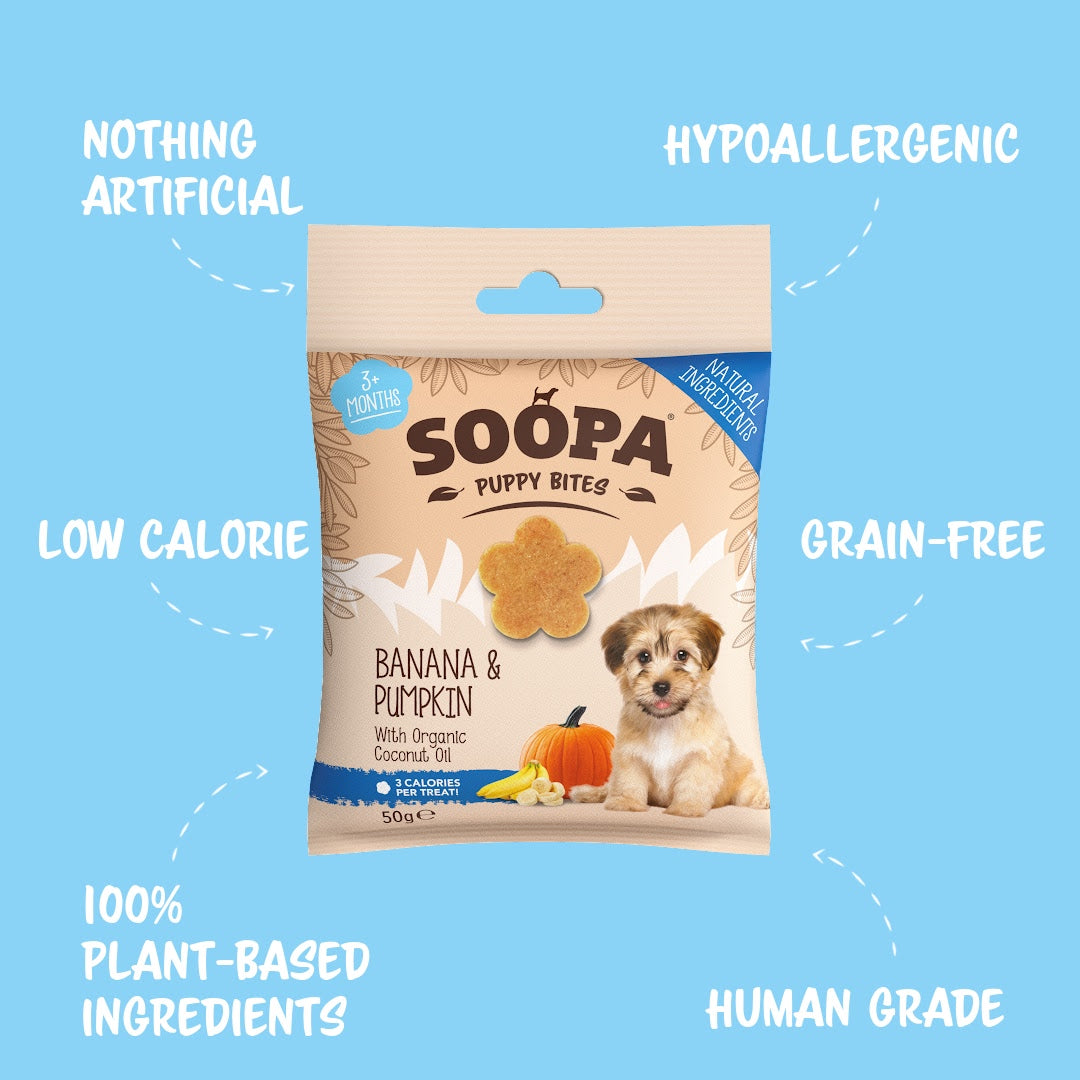 Image of Banana & Pumpkin Healthy Training Bites for Puppies, Single Pack