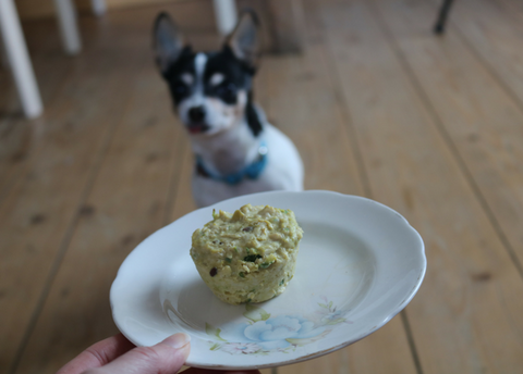 Lily Loving Barbara's Chicken and Spinach Mutt Muffins