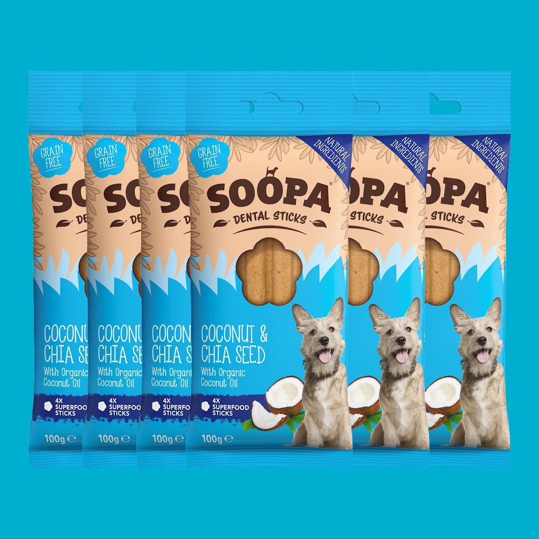 Image of Coconut & Chia Seed Dental Sticks, 6 Pack