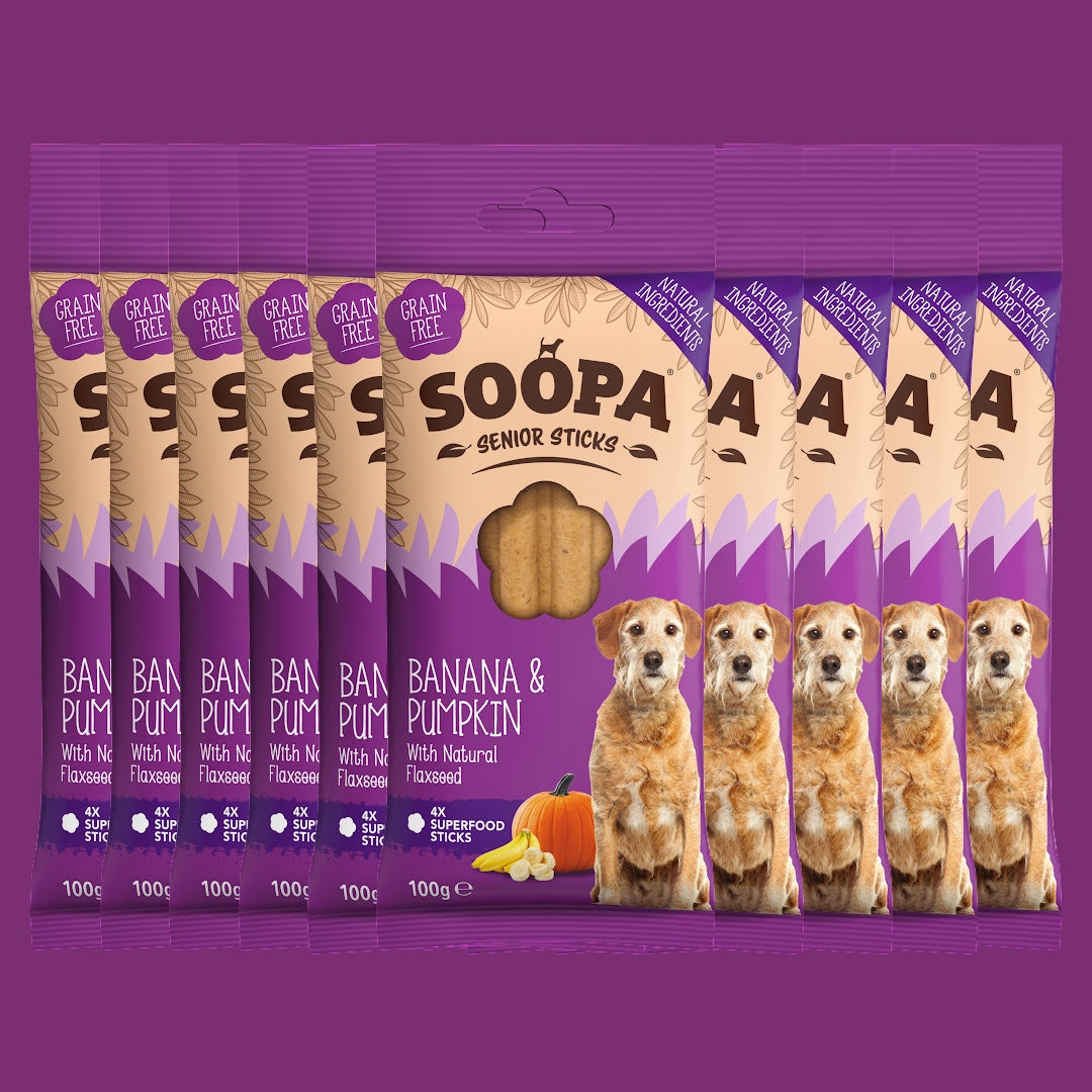 Image of Banana, Pumpkin & Flaxseed Dental Sticks for Senior Dogs, 10 Pack