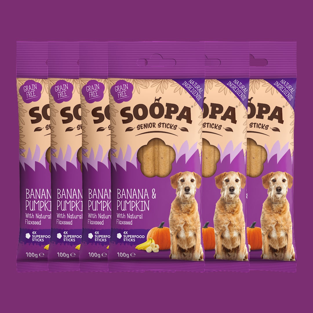 Image of Banana, Pumpkin & Flaxseed Dental Sticks for Senior Dogs, 6 Pack