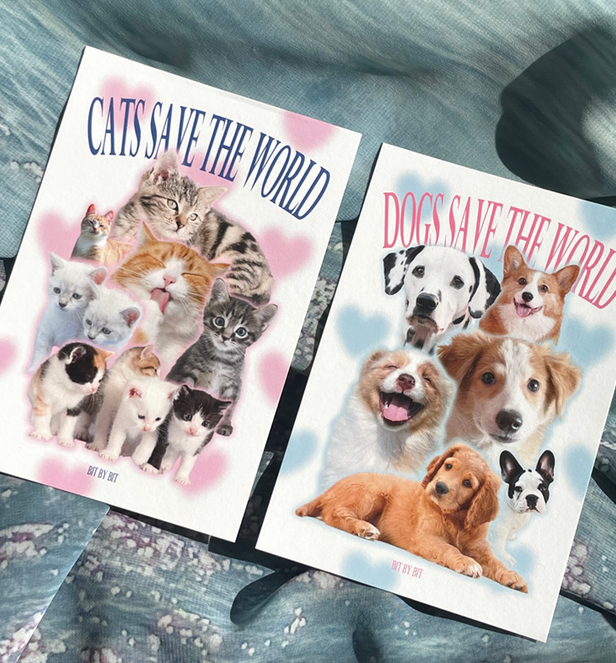 Cats Postcard