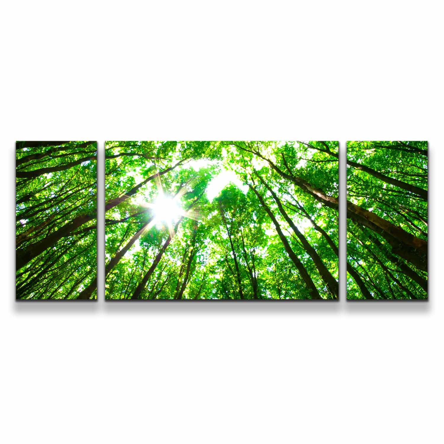 Autumn Forest Canvas Wall Art, White Sky Sunrise Triptych Multi Canvas Artwork, Looking Up Green Trees Branches 3 Piece Canvas Print