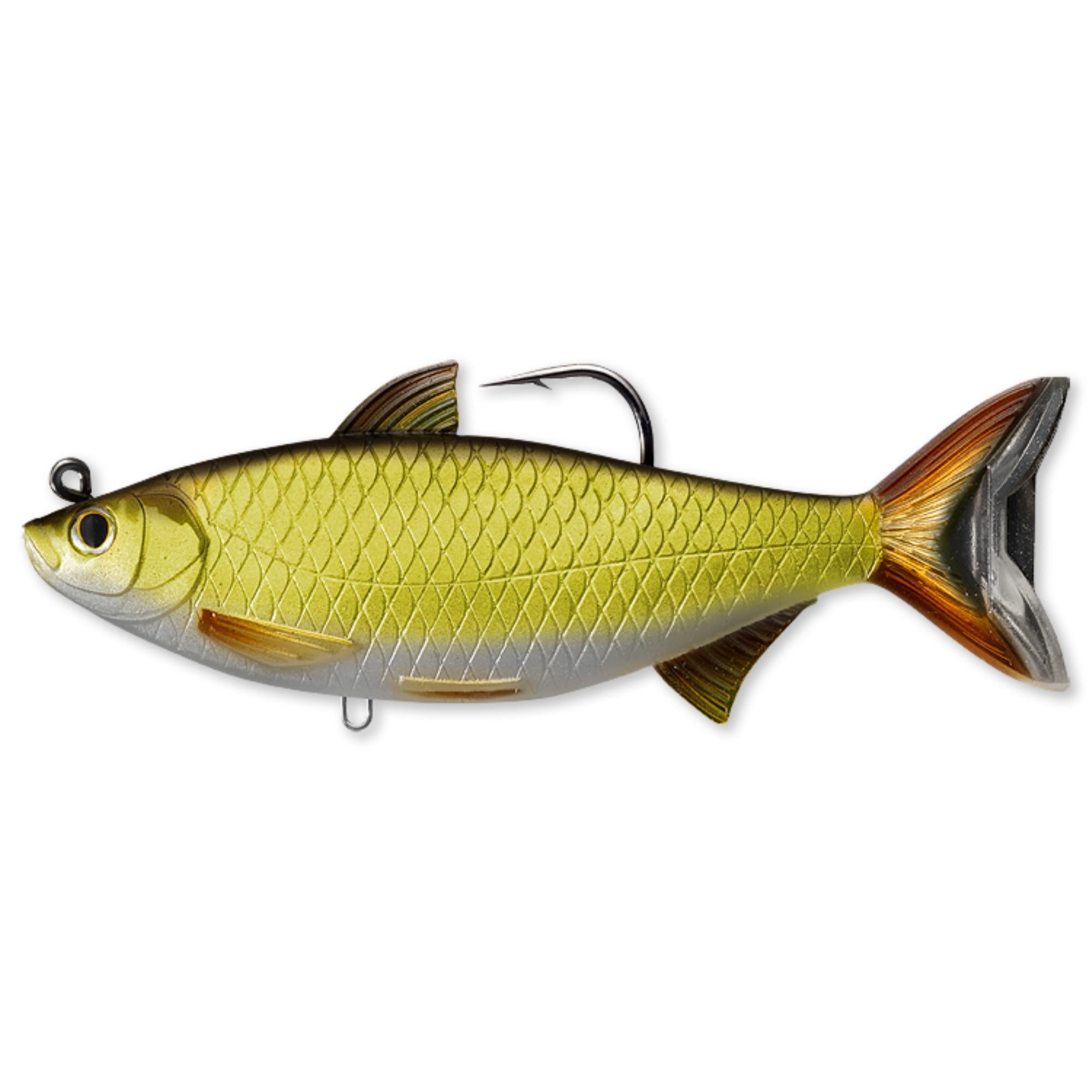 Golden Shiner Swimbait