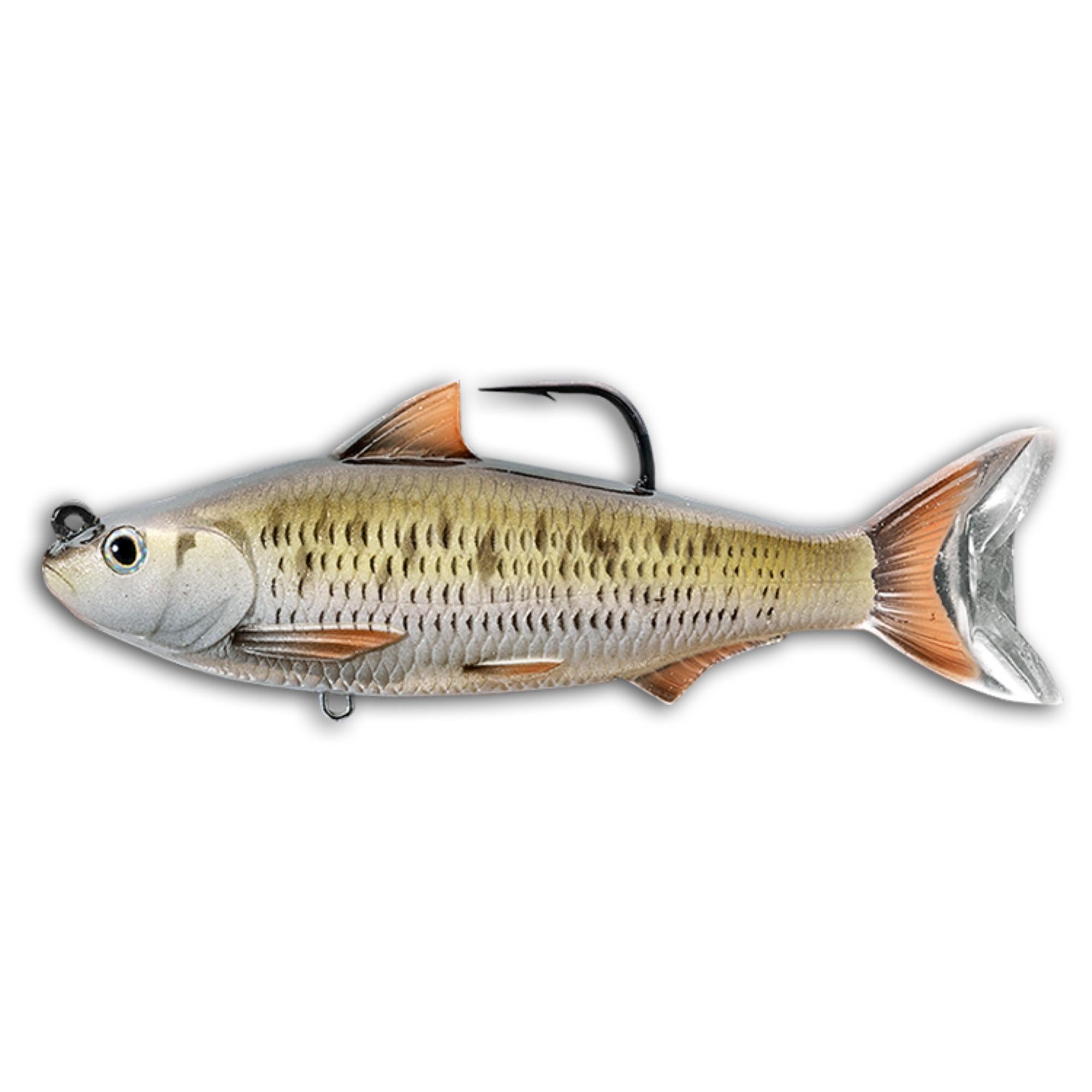 Live target Croaker Swimbait 100 mm 28g Golden