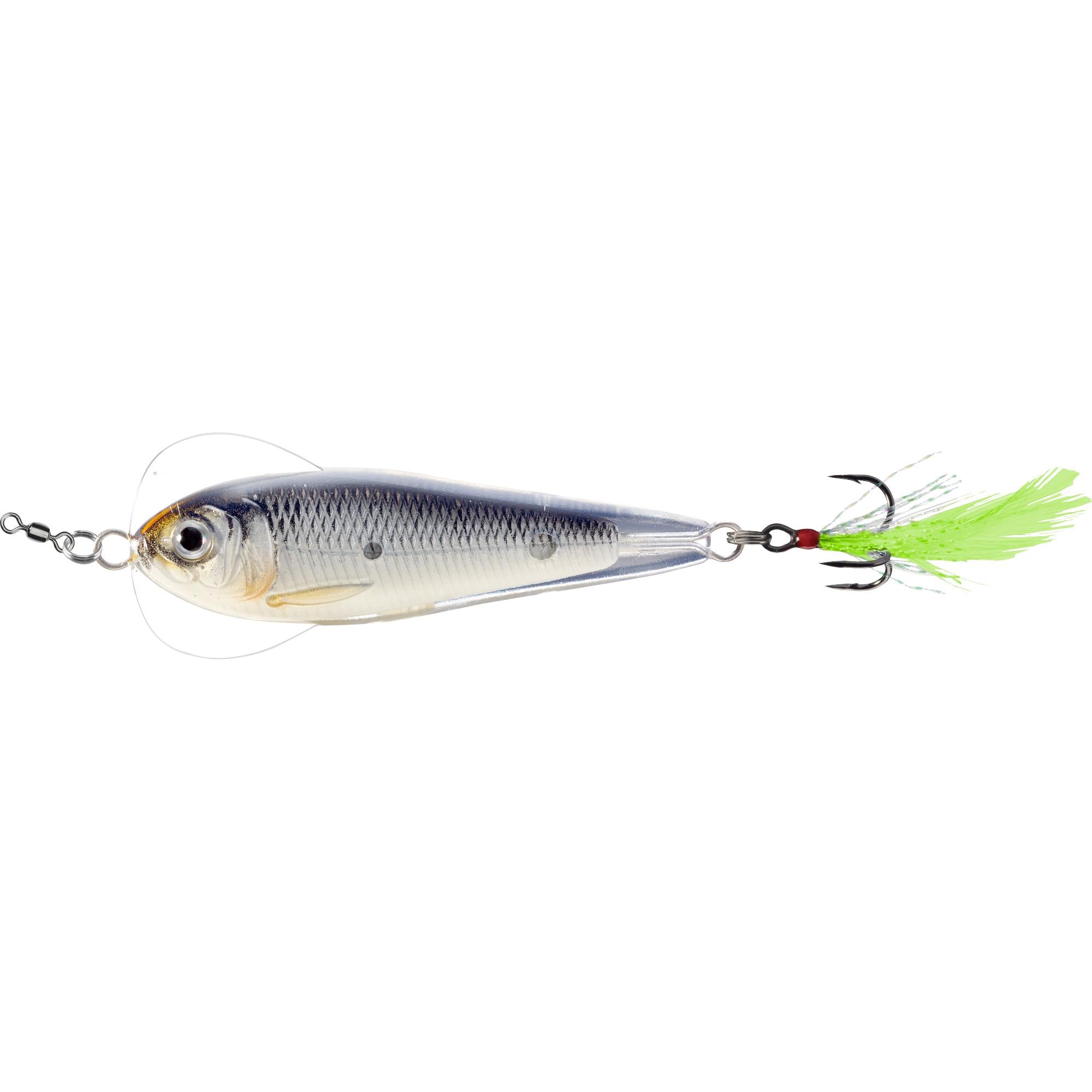 Shad  LIVETARGET