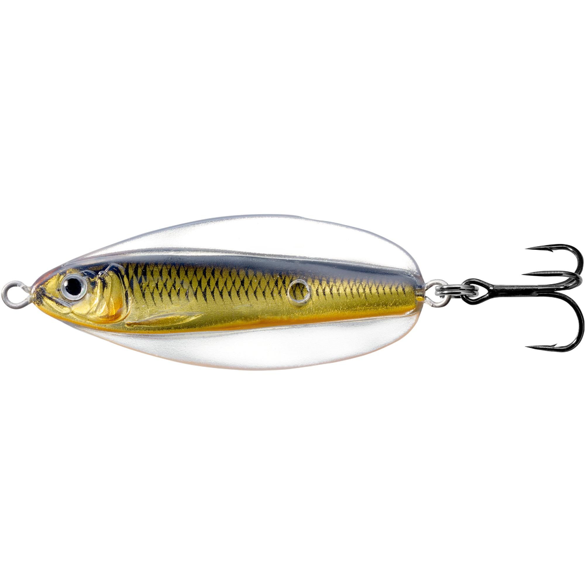 Erratic Shiner  Mustad Fishing