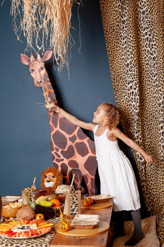 Safari themed birthday party