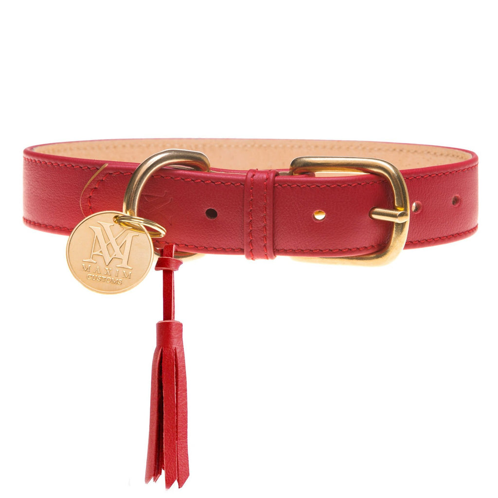 red leather dog collar and leash