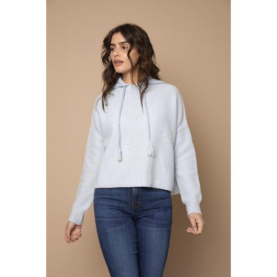 Jayda Chunky Knit Rib Hoodie - Mist